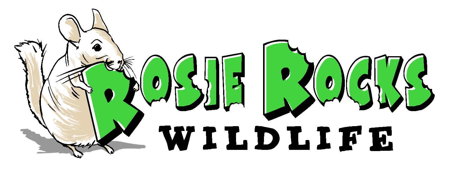 rosie rocks wildlife logo